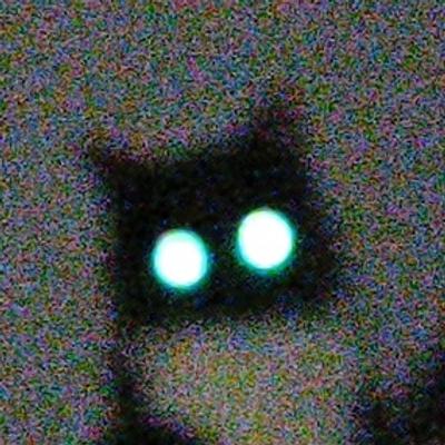 joany@mastodon.bsd.cafe