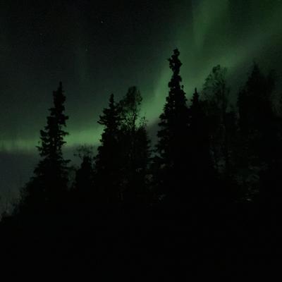 noadmin@mastodon.bsd.cafe