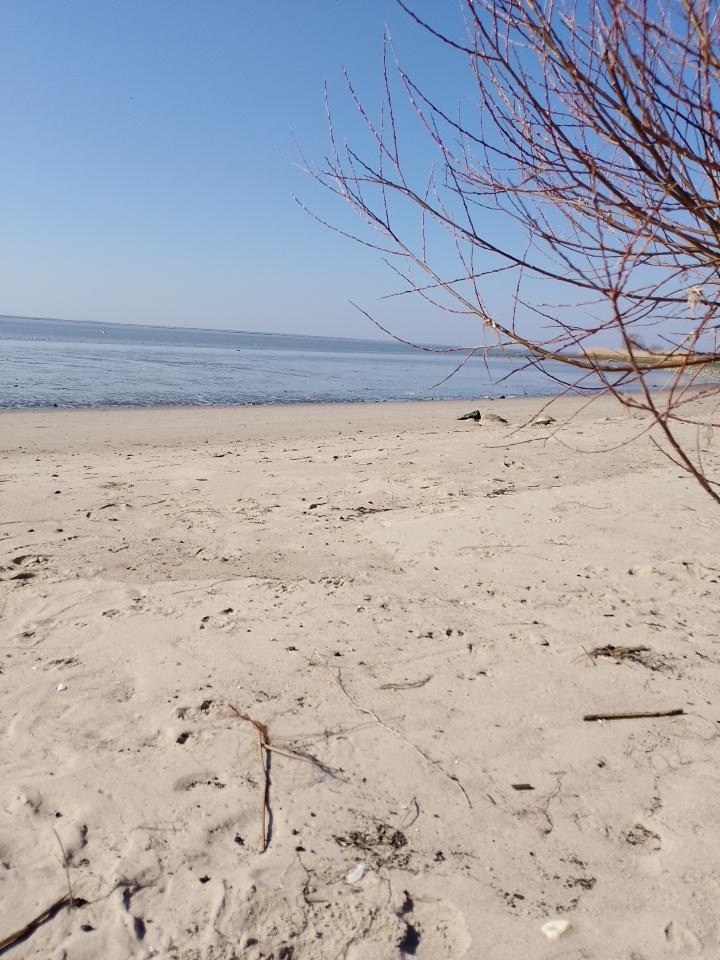 Sandy beach, mouth of the River Elbe/Northsea. Ebb tide, clear blue dky.