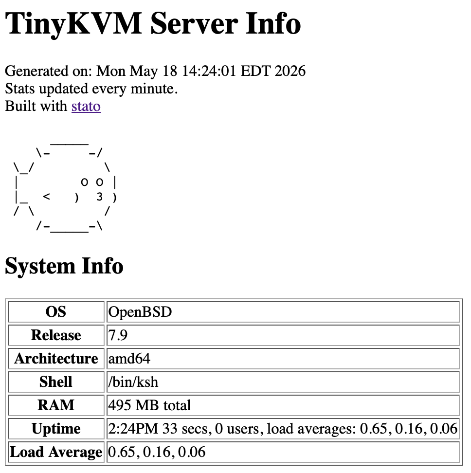 Screenshot showing basic stats of my TinyKVM server running OpenBSD 7.9