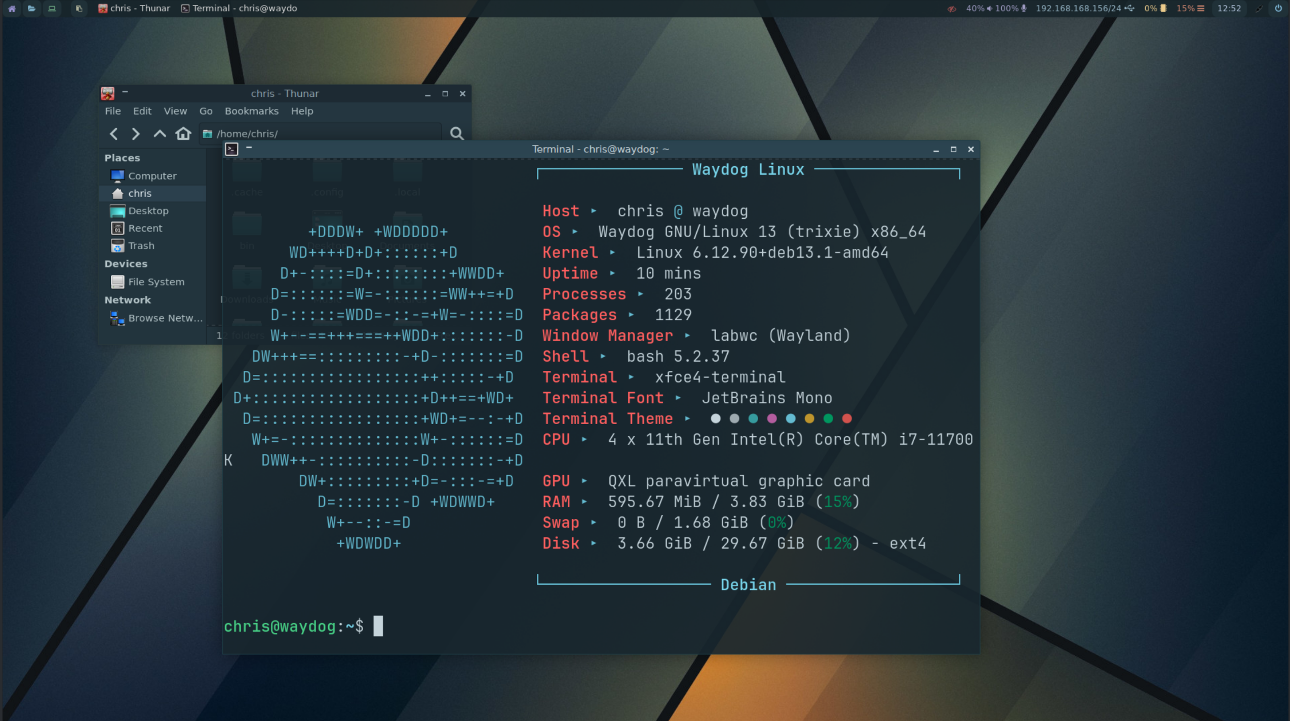 Screen shot of the Waydog Trixie as installed desktop with a terminal with fastfetch run for output (nothing fancy - just qemu things).

The logo drawn in character mode is a doggo foot print. Nice! 