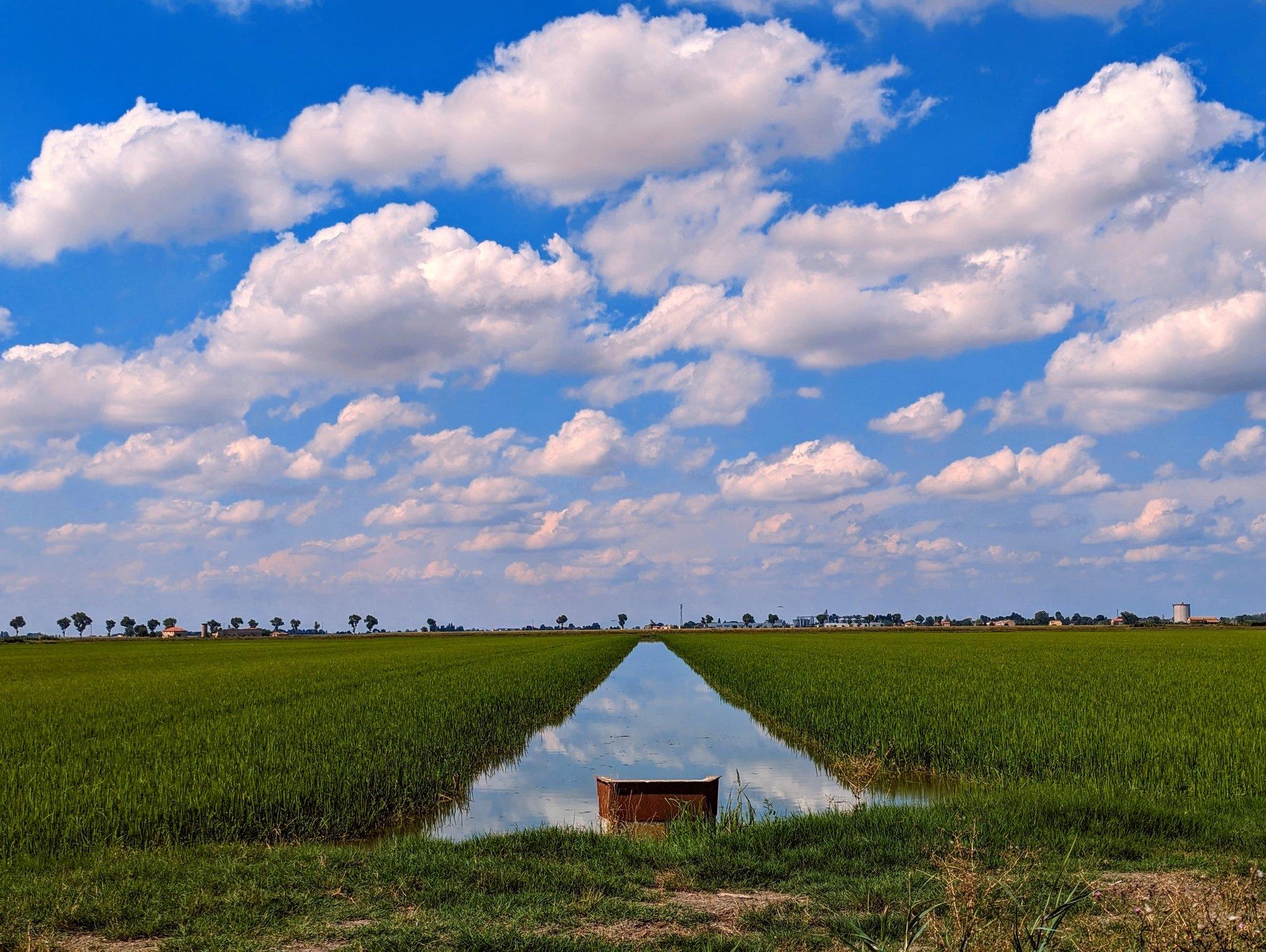 A straight irrigation canal runs through lush green fields, creating a near-perfect mirror reflection of large white cumulus clouds against a vivid blue summer sky. The flat rural landscape stretches to a distant horizon lined with scattered trees and a few small buildings, emphasizing the openness and tranquility of the countryside.
