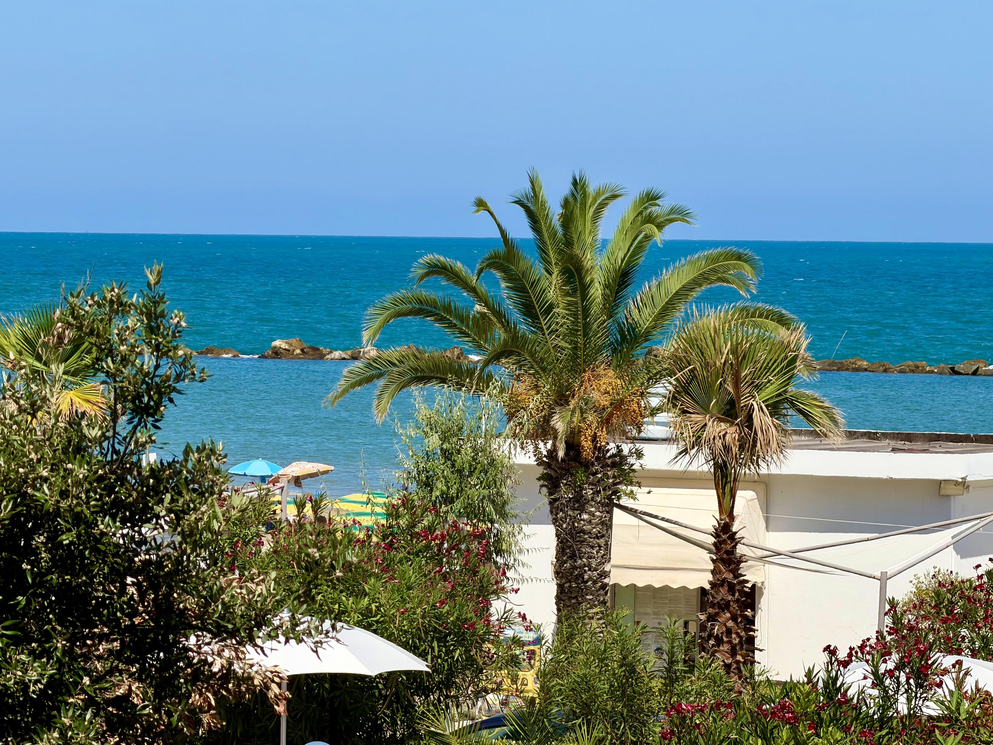 A sunny, elevated view of a vibrant blue sea behind leafy green bushes and palm trees. In the center, a large, lush palm tree with orange date clusters stands next to a slender palm and a low, white building with a beige awning. In the background, calm turquoise water stretches to the horizon under a clear, bright blue sky, with a low rocky breakwater visible in the distance. Lush green foliage with scattered red flowers and white patio umbrellas frame the foreground.
