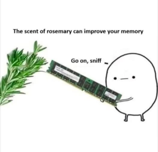 Captioned "The scent of rosemary can improve your memory" over a picture of a sprig of rosemary and a roughly-sketched person holding a stick of RAM up to the rosemary.